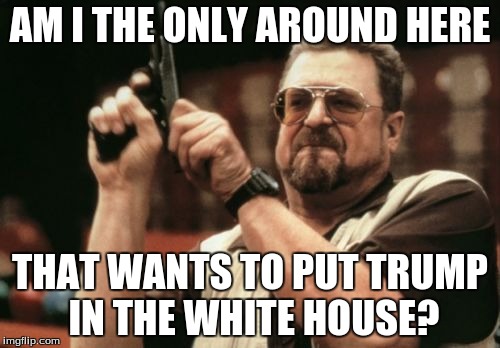 Am I The Only One Around Here Meme | AM I THE ONLY AROUND HERE; THAT WANTS TO PUT TRUMP IN THE WHITE HOUSE? | image tagged in memes,am i the only one around here | made w/ Imgflip meme maker