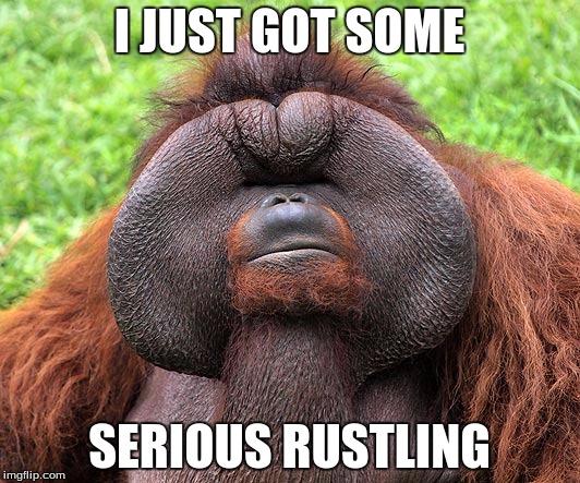 The Rustling | I JUST GOT SOME; SERIOUS RUSTLING | image tagged in major rustling,memes | made w/ Imgflip meme maker