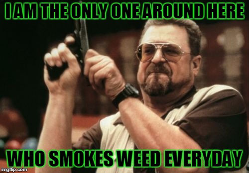 Am I The Only One Around Here Meme | I AM THE ONLY ONE AROUND HERE; WHO SMOKES WEED EVERYDAY | image tagged in memes,am i the only one around here | made w/ Imgflip meme maker