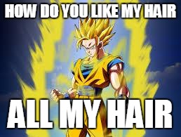 Dragon ball z | HOW DO YOU LIKE MY HAIR; ALL MY HAIR | image tagged in dragon ball z | made w/ Imgflip meme maker