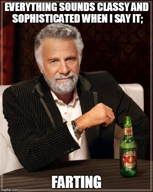 The Most Interesting Man In The World | EVERYTHING SOUNDS CLASSY AND SOPHISTICATED WHEN I SAY IT;; FARTING | image tagged in memes,the most interesting man in the world | made w/ Imgflip meme maker