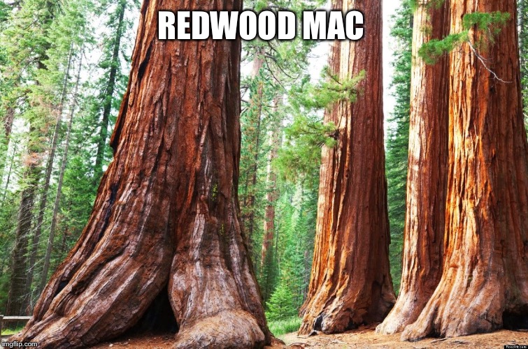 REDWOOD MAC | made w/ Imgflip meme maker