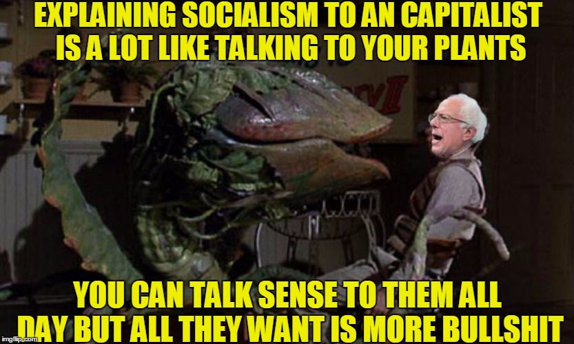 EXPLAINING SOCIALISM TO AN CAPITALIST IS A LOT LIKE TALKING TO YOUR PLANTS; YOU CAN TALK SENSE TO THEM ALL DAY BUT ALL THEY WANT IS MORE BULLSHIT | image tagged in little house of representatives | made w/ Imgflip meme maker