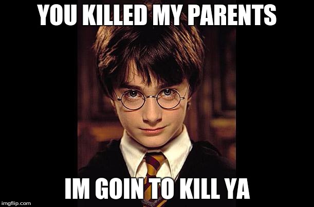 Harry Potter Wisdom | YOU KILLED MY PARENTS; IM GOIN TO KILL YA | image tagged in harry potter wisdom | made w/ Imgflip meme maker