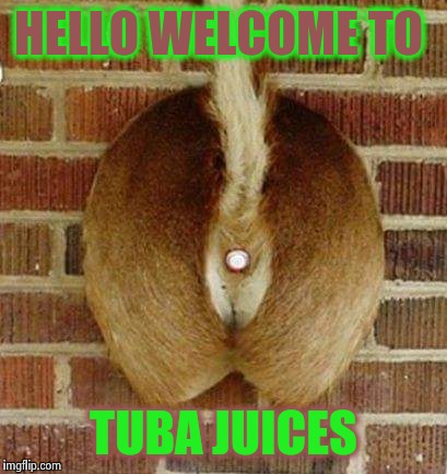 hello are you there hello hole | HELLO WELCOME TO; TUBA JUICES | image tagged in hello are you there hello hole | made w/ Imgflip meme maker