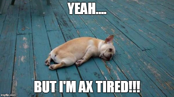 tired dog | YEAH.... BUT I'M AX TIRED!!! | image tagged in tired dog | made w/ Imgflip meme maker