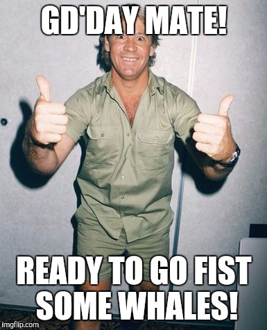 GD'DAY MATE! READY TO GO FIST SOME WHALES! | image tagged in steve irwin,killer whale and seal | made w/ Imgflip meme maker