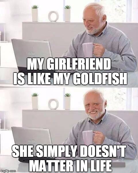 Hide the Pain Harold | MY GIRLFRIEND IS LIKE MY GOLDFISH; SHE SIMPLY DOESN'T MATTER IN LIFE | image tagged in memes,hide the pain harold | made w/ Imgflip meme maker