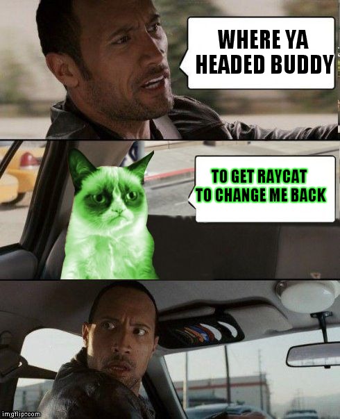 Grumpy cat searches for a cure.. | WHERE YA HEADED BUDDY; TO GET RAYCAT TO CHANGE ME BACK | image tagged in the rock driving,grumpy cat,raycat | made w/ Imgflip meme maker