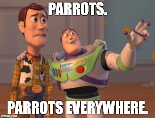 X, X Everywhere Meme | PARROTS. PARROTS EVERYWHERE. | image tagged in memes,x x everywhere | made w/ Imgflip meme maker