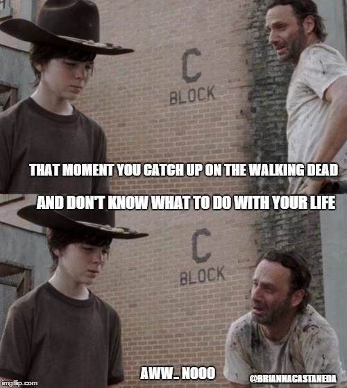 Rick and Carl | THAT MOMENT YOU CATCH UP ON THE WALKING DEAD; AND DON'T KNOW WHAT TO DO WITH YOUR LIFE; AWW.. NOOO; @BRIANNACASTANEDA | image tagged in memes,rick and carl | made w/ Imgflip meme maker