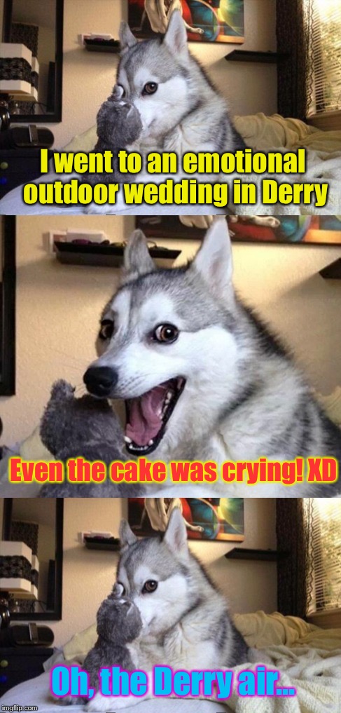 Bad Pun Dog in rehab | I went to an emotional outdoor wedding in Derry; Even the cake was crying! XD; Oh, the Derry air... | image tagged in i'm bad at puns dog 2,memes,bad pun dog | made w/ Imgflip meme maker