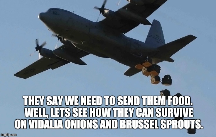 THEY SAY WE NEED TO SEND THEM FOOD. WELL, LETS SEE HOW THEY CAN SURVIVE ON VIDALIA ONIONS AND BRUSSEL SPROUTS. | made w/ Imgflip meme maker