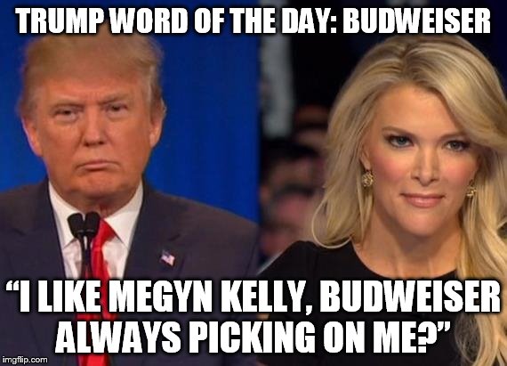 TRUMP WORD OF THE DAY: BUDWEISER; “I LIKE MEGYN KELLY, BUDWEISER ALWAYS PICKING ON ME?” | image tagged in donald trump | made w/ Imgflip meme maker