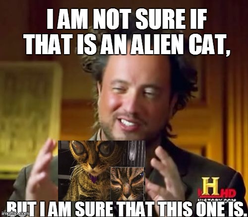 Ancient Aliens Meme | BUT I AM SURE THAT THIS ONE IS. I AM NOT SURE IF THAT IS AN ALIEN CAT, | image tagged in memes,ancient aliens | made w/ Imgflip meme maker