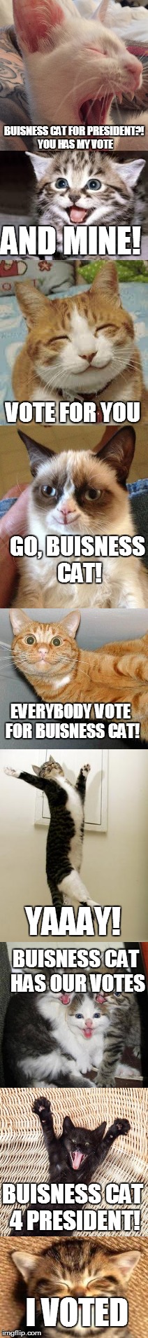 Business  Cat is running for president | BUISNESS CAT FOR PRESIDENT?! YOU HAS MY VOTE AND MINE! VOTE FOR YOU GO, BUISNESS CAT! EVERYBODY VOTE FOR BUISNESS CAT! YAAAY! BUISNESS CAT H | image tagged in business cat,cats,funny,lol | made w/ Imgflip meme maker