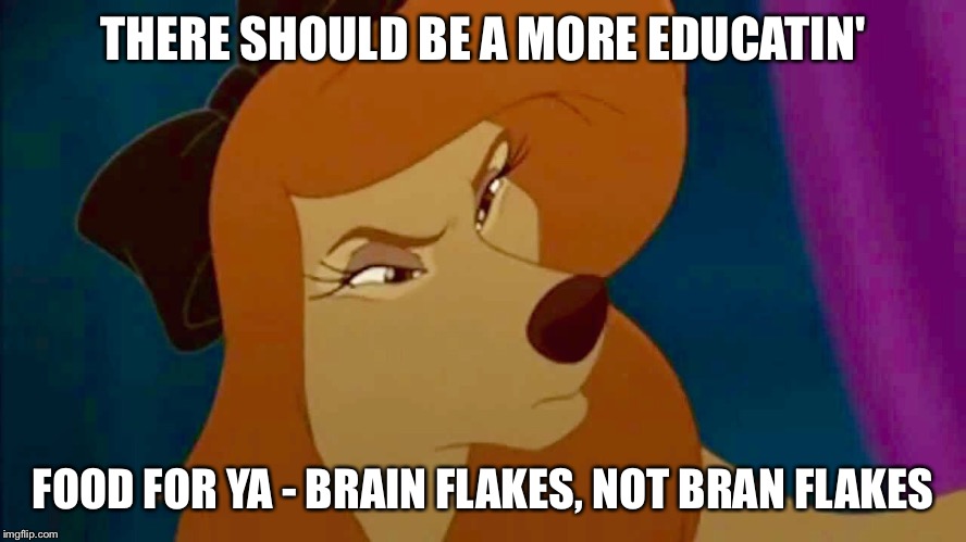 Brain Flakes, Not Bran Flakes | THERE SHOULD BE A MORE EDUCATIN'; FOOD FOR YA - BRAIN FLAKES, NOT BRAN FLAKES | image tagged in dixie,memes,disney,the fox and the hound 2,dog,cereal | made w/ Imgflip meme maker