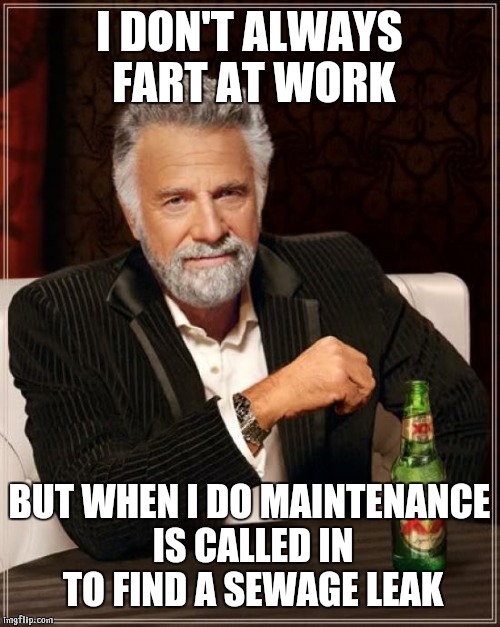 The Most Interesting Man In The World Meme | I DON'T ALWAYS FART AT WORK; BUT WHEN I DO MAINTENANCE IS CALLED IN TO FIND A SEWAGE LEAK | image tagged in memes,the most interesting man in the world | made w/ Imgflip meme maker