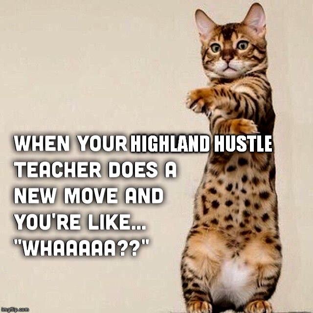 dance cat | HIGHLAND HUSTLE | image tagged in happy dance cat | made w/ Imgflip meme maker
