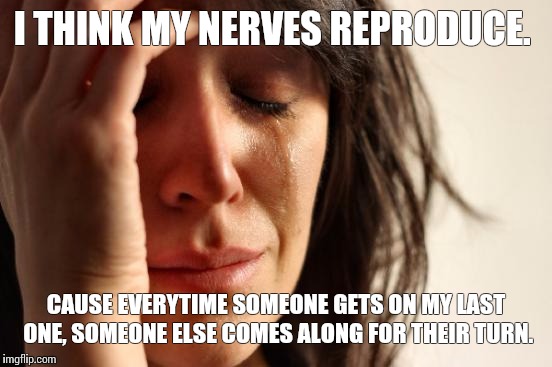 First World Problems | I THINK MY NERVES REPRODUCE. CAUSE EVERYTIME SOMEONE GETS ON MY LAST ONE, SOMEONE ELSE COMES ALONG FOR THEIR TURN. | image tagged in memes,first world problems | made w/ Imgflip meme maker