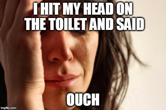 First World Problems Meme | I HIT MY HEAD ON THE TOILET AND SAID OUCH | image tagged in memes,first world problems | made w/ Imgflip meme maker