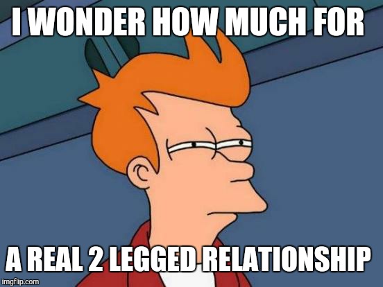 Futurama Fry Meme | I WONDER HOW MUCH FOR A REAL 2 LEGGED RELATIONSHIP | image tagged in memes,futurama fry | made w/ Imgflip meme maker