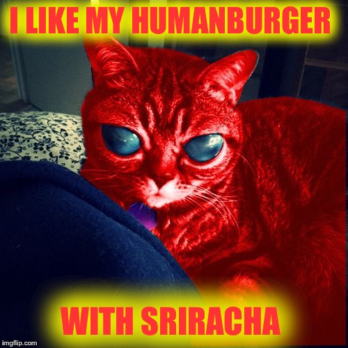 RayCat Aliens | I LIKE MY HUMANBURGER WITH SRIRACHA | image tagged in raycat aliens | made w/ Imgflip meme maker