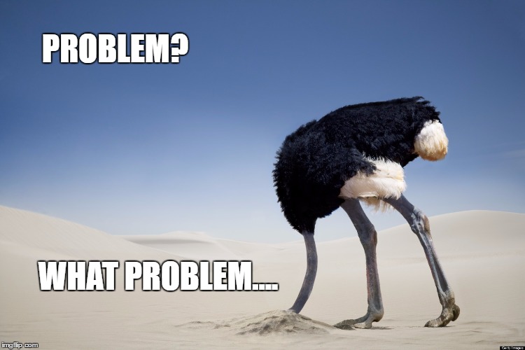 Ostrich head in sand | PROBLEM? WHAT PROBLEM.... | image tagged in ostrich head in sand | made w/ Imgflip meme maker