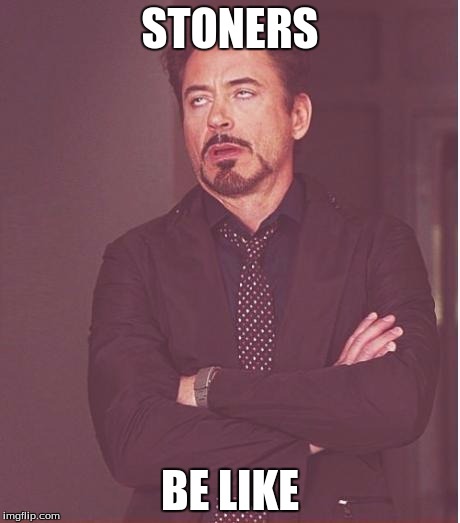 Face You Make Robert Downey Jr | STONERS; BE LIKE | image tagged in memes,face you make robert downey jr | made w/ Imgflip meme maker