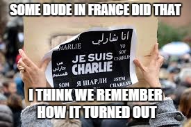 French Shooting | SOME DUDE IN FRANCE DID THAT; I THINK WE REMEMBER HOW IT TURNED OUT | image tagged in french shooting | made w/ Imgflip meme maker