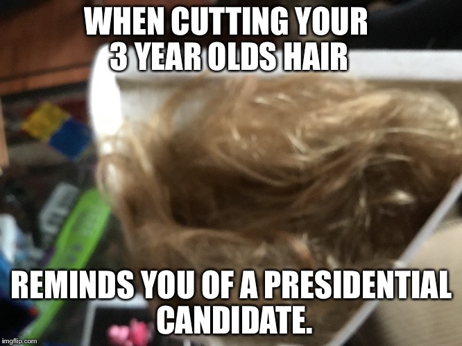 WHEN CUTTING YOUR 3 YEAR OLDS HAIR; REMINDS YOU OF A PRESIDENTIAL CANDIDATE. | image tagged in donald drumpf,donald trump | made w/ Imgflip meme maker