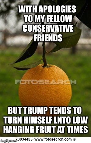 WITH APOLOGIES TO MY FELLOW CONSERVATIVE FRIENDS BUT TRUMP TENDS TO TURN HIMSELF LNTO LOW HANGING FRUIT AT TIMES | made w/ Imgflip meme maker