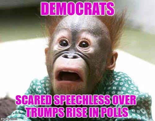 funny as shit to watch them squirm | DEMOCRATS; SCARED SPEECHLESS OVER TRUMPS RISE IN POLLS | image tagged in stressedoutface,memes,democrats,trump | made w/ Imgflip meme maker