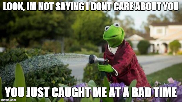 LOOK, IM NOT SAYING I DONT CARE ABOUT YOU; YOU JUST CAUGHT ME AT A BAD TIME | image tagged in kermit | made w/ Imgflip meme maker