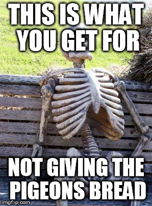 Waiting Skeleton Meme | THIS IS WHAT YOU GET FOR; NOT GIVING THE PIGEONS BREAD | image tagged in memes,waiting skeleton | made w/ Imgflip meme maker