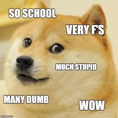 Doge | SO SCHOOL; VERY F'S; MUCH STUPID; MANY DUMB; WOW | image tagged in memes,doge | made w/ Imgflip meme maker