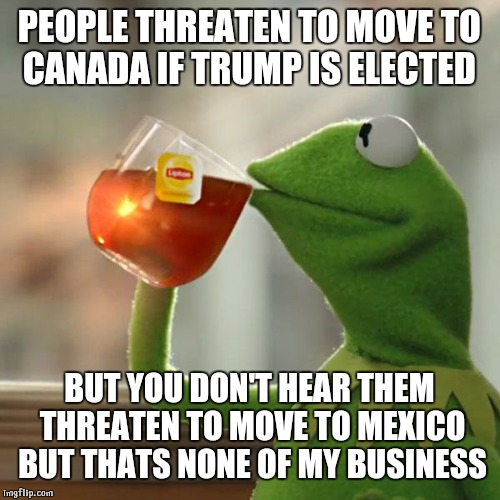 But That's None Of My Business Meme | PEOPLE THREATEN TO MOVE TO CANADA IF TRUMP IS ELECTED; BUT YOU DON'T HEAR THEM THREATEN TO MOVE TO MEXICO BUT THATS NONE OF MY BUSINESS | image tagged in memes,but thats none of my business,kermit the frog | made w/ Imgflip meme maker