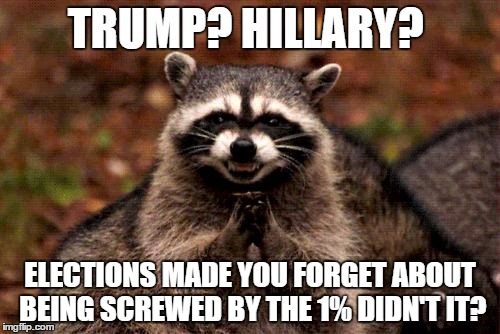 Evil Plotting Raccoon | TRUMP? HILLARY? ELECTIONS MADE YOU FORGET ABOUT BEING SCREWED BY THE 1% DIDN'T IT? | image tagged in memes,evil plotting raccoon | made w/ Imgflip meme maker