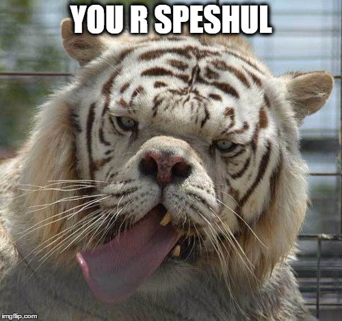 You R Speshul | YOU R SPESHUL | image tagged in special | made w/ Imgflip meme maker