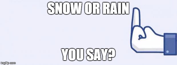 fuckfacebook | SNOW OR RAIN; YOU SAY? | image tagged in fuckfacebook | made w/ Imgflip meme maker