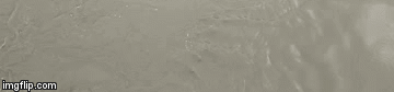 flood water | image tagged in gifs,water | made w/ Imgflip video-to-gif maker