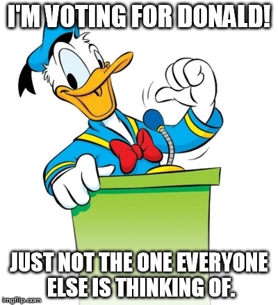This election, | I'M VOTING FOR DONALD! JUST NOT THE ONE EVERYONE ELSE IS THINKING OF. | image tagged in vote,president | made w/ Imgflip meme maker