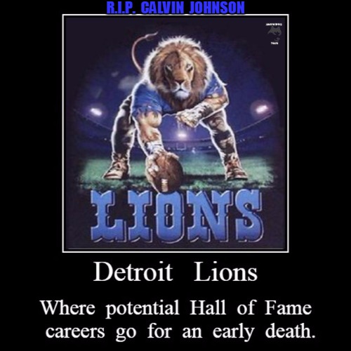 Lions | R.I.P.  CALVIN  JOHNSON | image tagged in funny | made w/ Imgflip meme maker