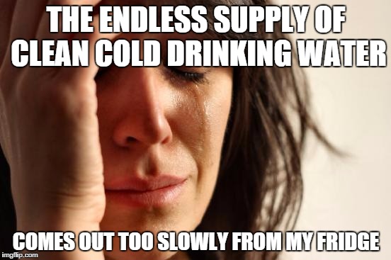 First World Problems Meme | THE ENDLESS SUPPLY OF CLEAN COLD DRINKING WATER; COMES OUT TOO SLOWLY FROM MY FRIDGE | image tagged in memes,first world problems,AdviceAnimals | made w/ Imgflip meme maker