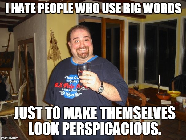 I hate people who use big words  | I HATE PEOPLE WHO USE BIG WORDS; JUST TO MAKE THEMSELVES LOOK PERSPICACIOUS. | image tagged in matt g,big words,meme,memes | made w/ Imgflip meme maker