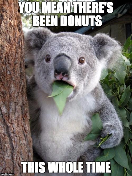WTF Koala | YOU MEAN THERE'S BEEN DONUTS; THIS WHOLE TIME | image tagged in memes | made w/ Imgflip meme maker