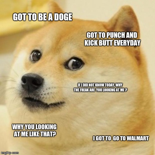 Doge Meme | GOT TO BE A DOGE; GOT TO PUNCH AND KICK BUTT EVERYDAY; IF I DID NOT KNOW TODAY, WHY THE FREAK ARE  YOU LOOKING AT ME ? WHY YOU LOOKING AT ME LIKE THAT? I GOT TO  GO TO WALMART | image tagged in memes,doge | made w/ Imgflip meme maker