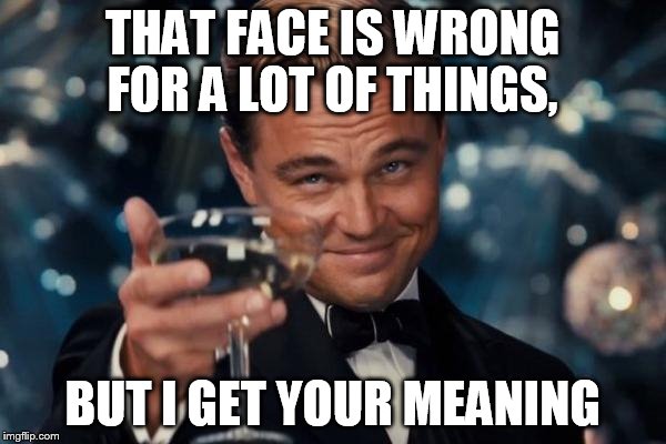 Leonardo Dicaprio Cheers Meme | THAT FACE IS WRONG FOR A LOT OF THINGS, BUT I GET YOUR MEANING | image tagged in memes,leonardo dicaprio cheers | made w/ Imgflip meme maker