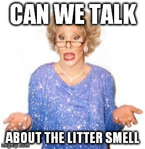 CAN WE TALK ABOUT THE LITTER SMELL | made w/ Imgflip meme maker