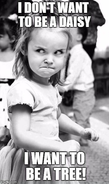 Angry Toddler knows what she wants "Do I look like a twirly flower!" | I DON'T WANT TO BE A DAISY; I WANT TO BE A TREE! | image tagged in memes,angry toddler | made w/ Imgflip meme maker